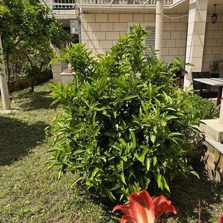 Katarina Rooms Dubrovnik Eksteriør billede
